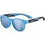 Sunglasses Alpina JOLA