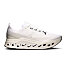 Mens Road Running Shoes On Cloudsurfer Max