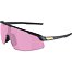Sunglasses Alpina Turbo Pro S Q-Lite