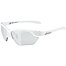 Sunglasses Alpina Twist Five HR S VL+