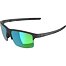 Sunglasses Alpina Eagle Q-Lite