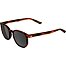 Sunglasses Alpina DIMONT