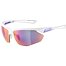 Sunglasses Alpina NYLOS HR