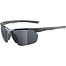 Sunglasses Alpina DEFEY HR