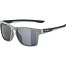 Sunglasses Alpina FLEXXY COOL KIDS I