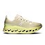 Mens Road Running Shoes On Cloudsurfer Max
