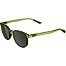 Sunglasses Alpina DIMONT
