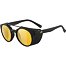 Sunglasses Alpina GLACE POL