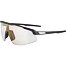 Sunglasses Alpina TURBO PRO V