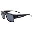 Sunglasses Alpina CONCEAL P