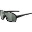 Sunglasses Alpina Bonfire Q-Lite