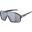 Sunglasses Alpina BONFIRE