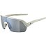 Sunglasses Alpina TURBO HR