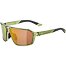 Sunglasses Alpina SWIFT