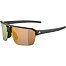 Sunglasses Alpina SWIFT HR