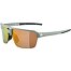 Sunglasses Alpina SWIFT HR