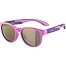 Sunglasses Alpina JOLA
