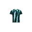 Mens running shirt On Performance-T Terra