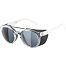 Sunglasses Alpina GLACE