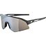 Sunglasses Alpina Sonic HR Q-Lite