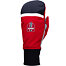 Glove Swix Blizzard Heritage Mitt