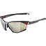 Sunglasses Alpina TWIST SIX Q
