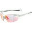 Sunglasses Alpina TWIST SIX S HR QV