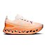 Mens Road Running Shoes On Cloudsurfer Max