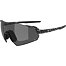 Sunglasses Alpina TURBO AIR V
