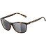 Sunglasses Alpina JAIDA