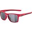 Sunglasses Alpina FLEXXY COOL KIDS I