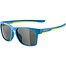 Sunglasses Alpina FLEXXY COOL KIDS I