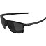 Sunglasses Alpina Eagle Q-Lite