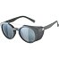 Sunglasses Alpina GLACE POL