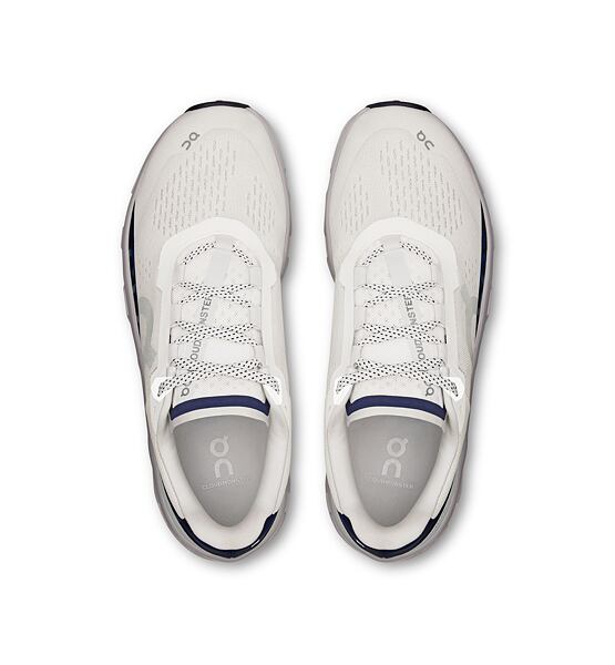 Mens Road Running Shoes On Cloudmonster