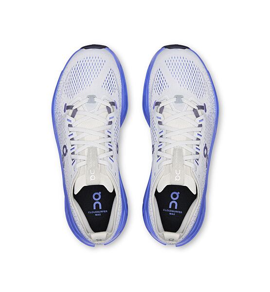 Mens Road Running Shoes On Cloudsurfer Max