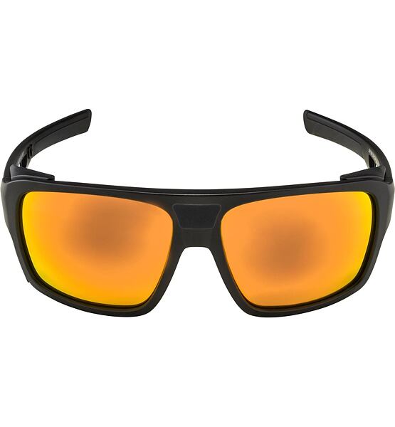 Sunglasses Alpina SKYWALSH