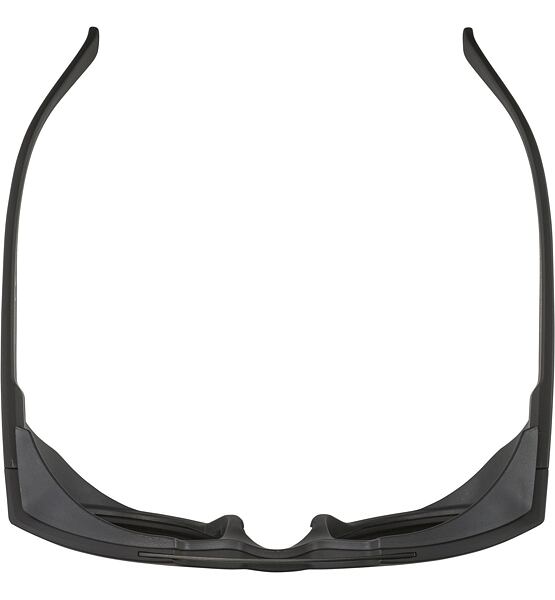 Sunglasses Alpina Glace