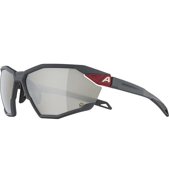 Sunglasses Alpina TWIST SIX Q