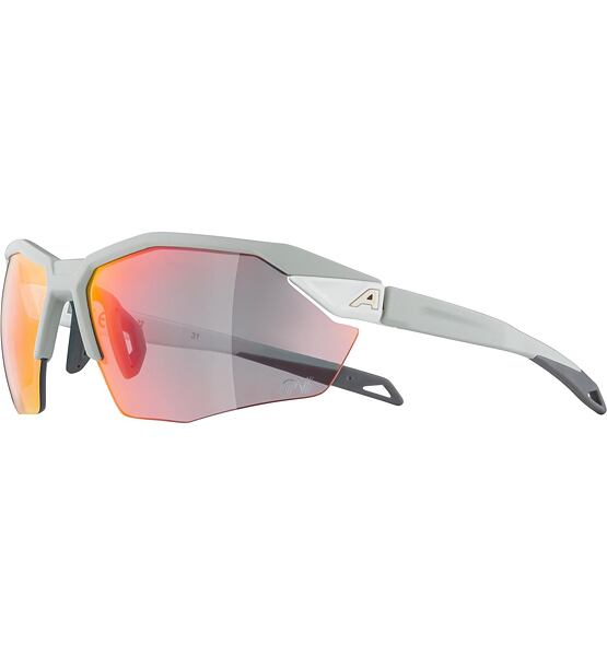 Sunglasses Alpina TWIST SIX S HR QV