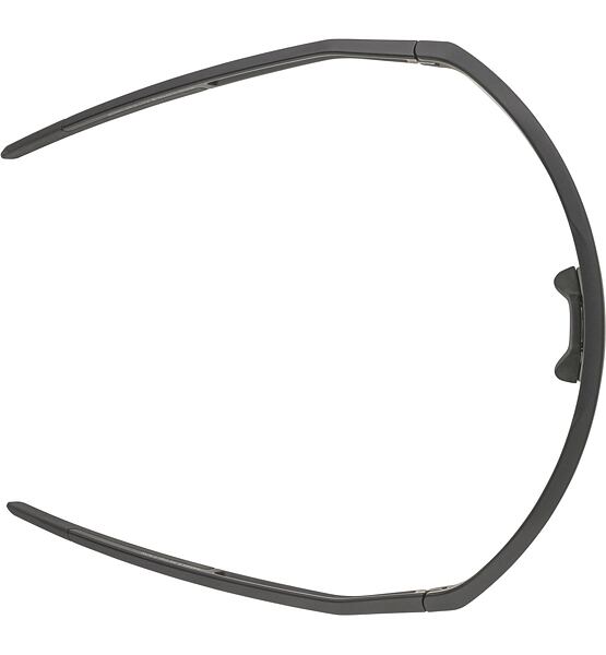 Sunglasses Alpina Sonic HR Q-Lite