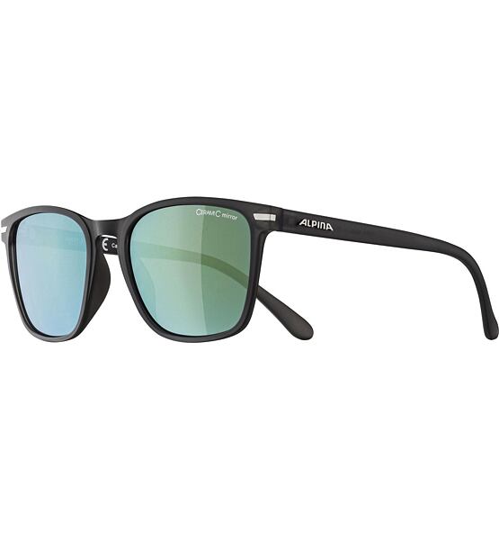 Sunglasses Alpina YEFE