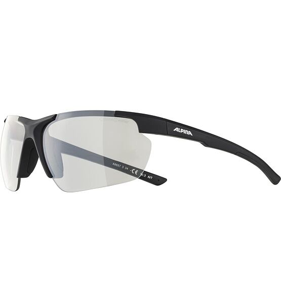 Sunglasses Alpina DEFEY HR