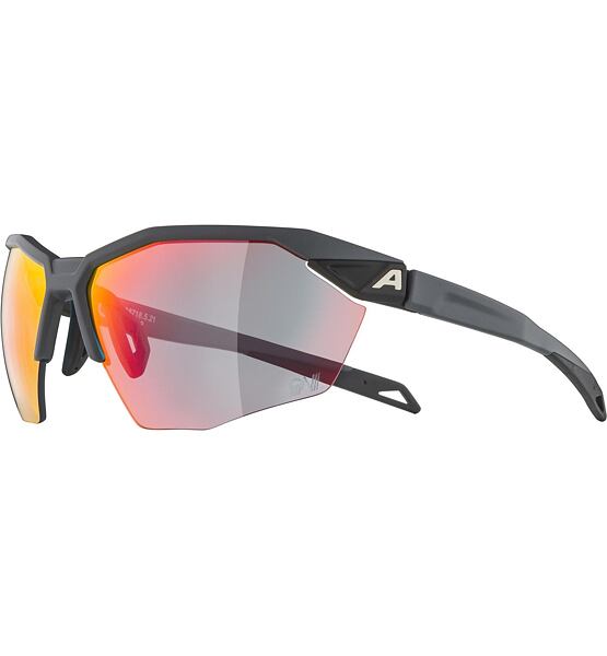 Sunglasses Alpina TWIST SIX HR QV