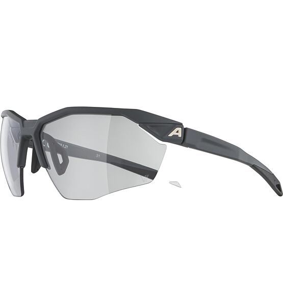 Sunglasses Alpina TWIST SIX HR V