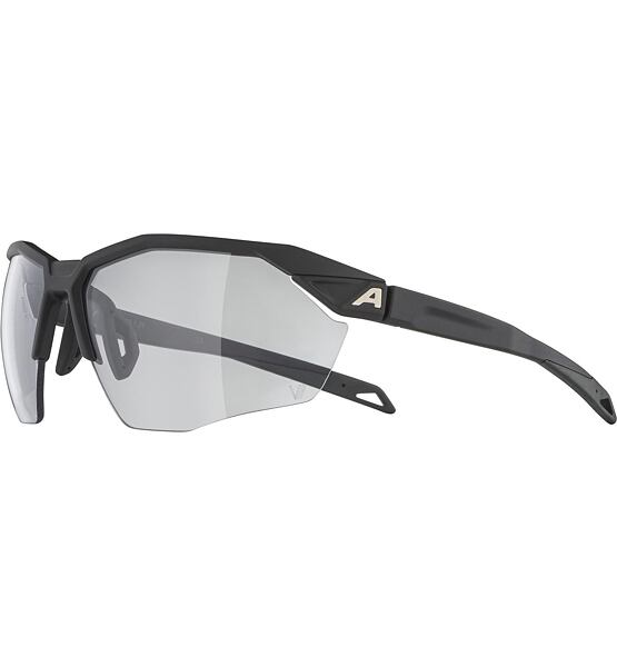 Sunglasses Alpina TWIST SIX HR V