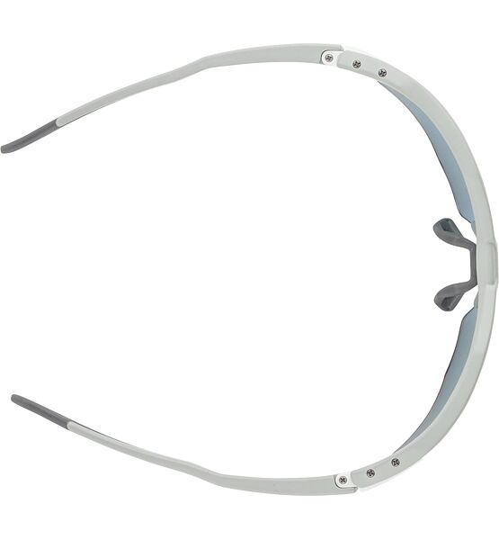 Sunglasses Alpina TWIST SIX S HR QV
