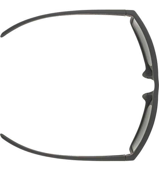 Sunglasses Alpina Nacan I Pol