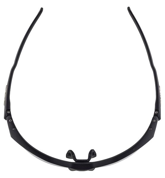 Sunglasses Alpina Twist Five HR