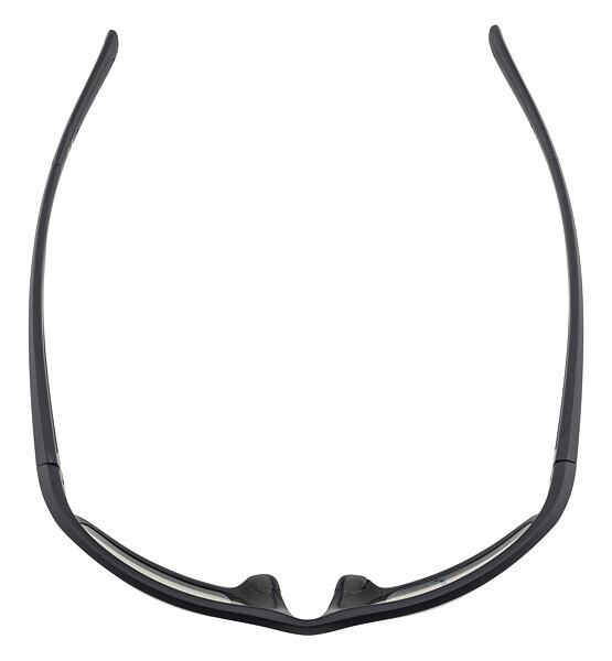 Sunglasses Alpina DEFEY